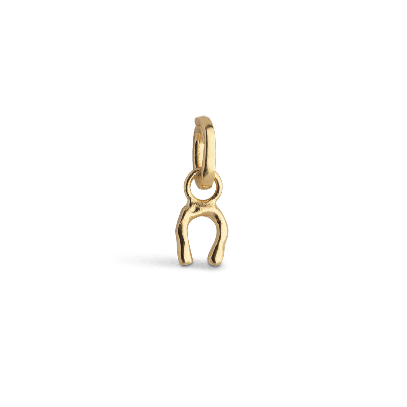 Enamel Charm Lucky Horseshoe