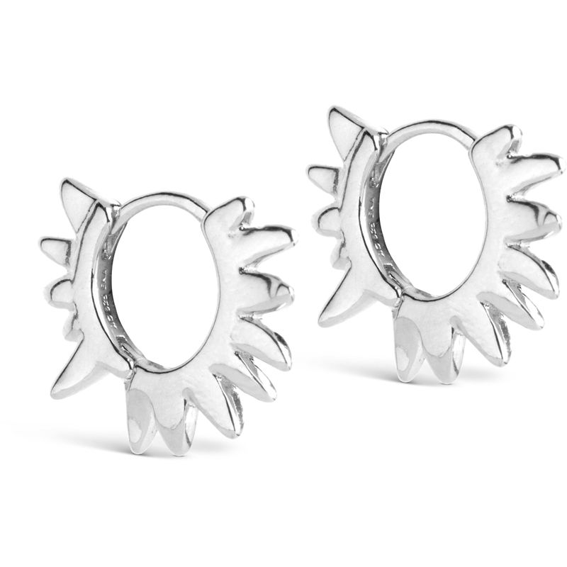 Enamel Hoops Sunshine Leaves Silver 