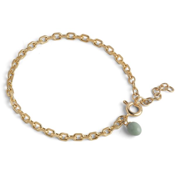 Hovedbilde Enamel Bracelet Significant Gold Sage